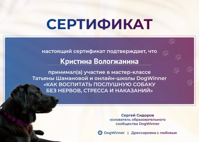 Догситтер Кристина В. — передержка собак, Ломоносовский, фото 17