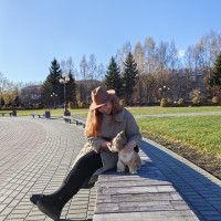 Догситтер
