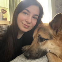 Догситтер Виктория Л.