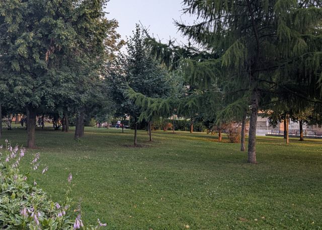 Догситтер Хлоя К. — передержка собак, Москва, фото 4