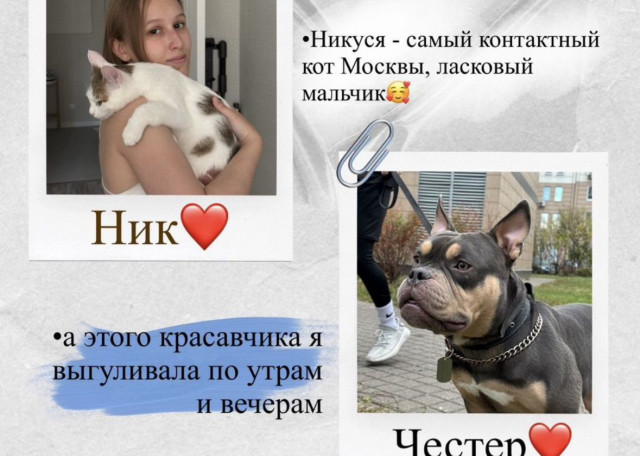 Догситтер Анастасия Л. — передержка собак, посёлок, фото 5
