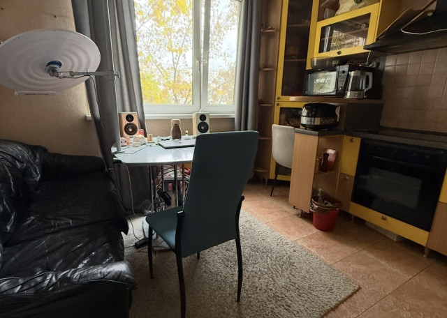 Догситтер Анна Ю. — передержка собак, Москва, фото 9