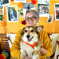 Догситтер Анна