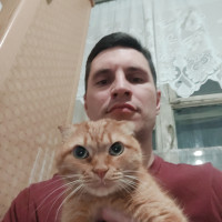 Догситтер