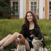 Догситтер