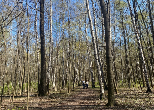 Догситтер Катерина С. — передержка собак, Москва, фото 14