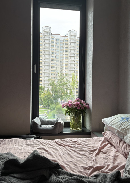 Догситтер Мария Б. — передержка собак, Москва, фото 17