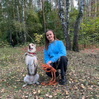 Догситтер