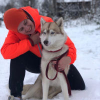 Догситтер