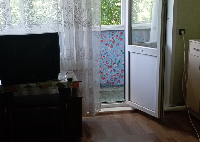 Догситтер Лиана У. — передержка собак, Красноярский, фото 8