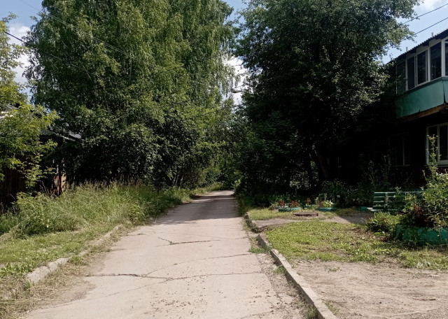 Догситтер Лиана У. — передержка собак, Красноярский, фото 5