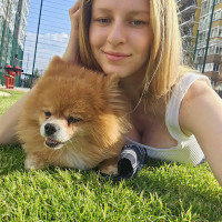 Догситтер