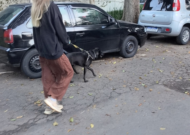 Догситтер Николь Х. — передержка собак, Москва, фото 3