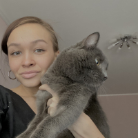 Догситтер Елена