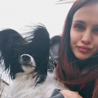 Догситтер