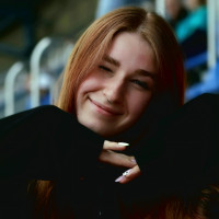 Догситтер