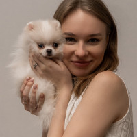 Догситтер
