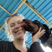 Догситтер Алиса