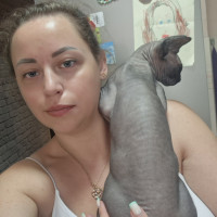 Догситтер
