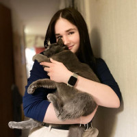 Догситтер