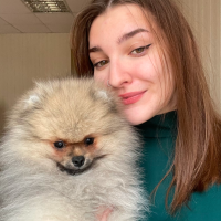 Догситтер