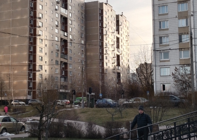 Догситтер Ирина А. — передержка собак, Москва, фото 7