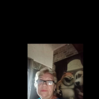 Догситтер