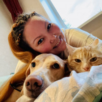 Догситтер Анастасия