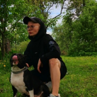 Догситтер
