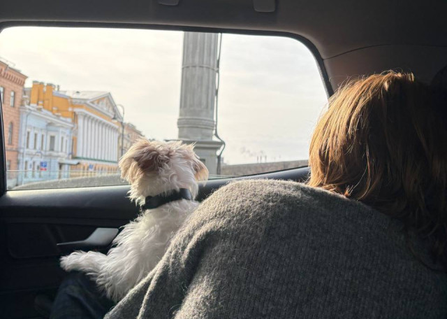 Догситтер Маша Б. — передержка собак, Петроградский, фото 2