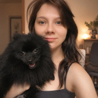 Догситтер