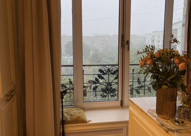 Догситтер Женя Ш. — передержка собак, Москва, фото 8