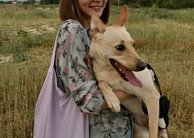 Догситтер Диана Б. — передержка собак, СанктПетербург, фото 8