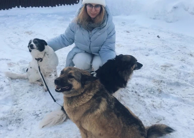Догситтер Мария П. — передержка собак, Москва, фото 1