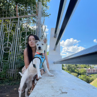 Догситтер Екатерина