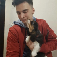 Догситтер Тимур