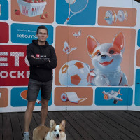Догситтер