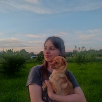 Догситтер