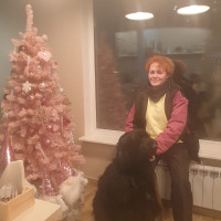 Догситтер
