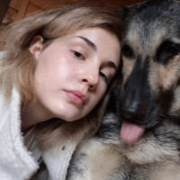 Догситтер