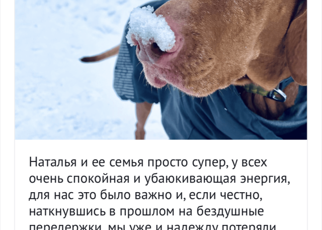 Догситтер Наталья Ч. — передержка собак, Москва, фото 18