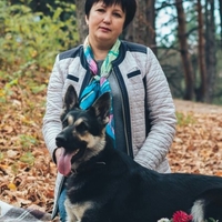 Догситтер Надежда