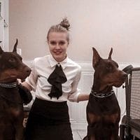 Догситтер