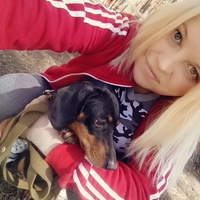 Догситтер