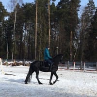 Догситтер