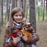 Догситтер Надежда