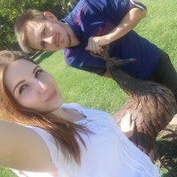 Догситтер