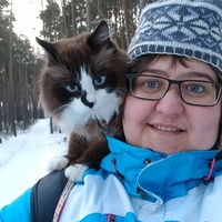 Догситтер