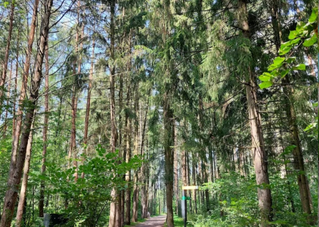 Догситтер Юлия Ш. — передержка собак, село, фото 5