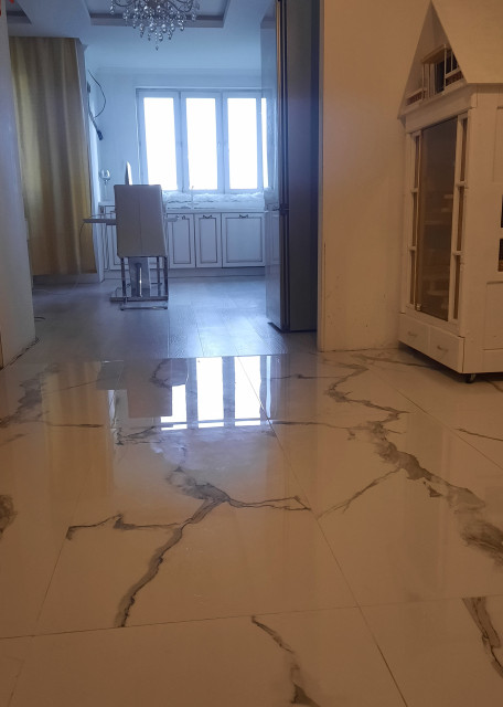 Догситтер Юлия Ш. — передержка собак, село, фото 11